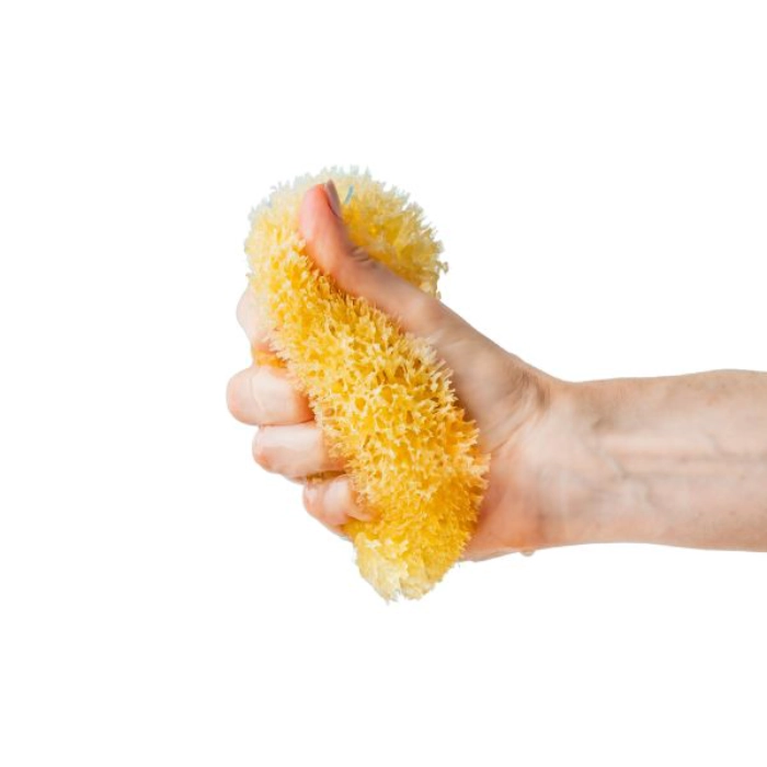 Anewmum – Natural Honeycomb Sea Sponge - Image 3